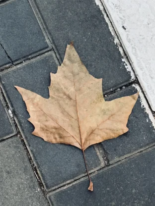 pic