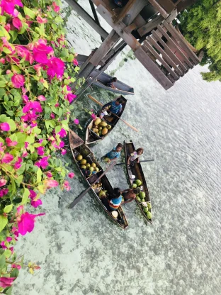 pic