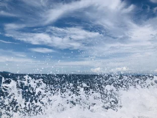 pic