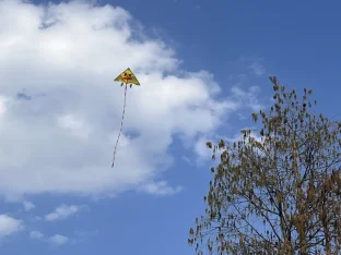 pic