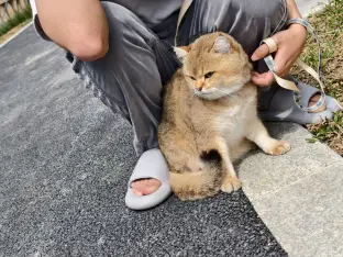 pic