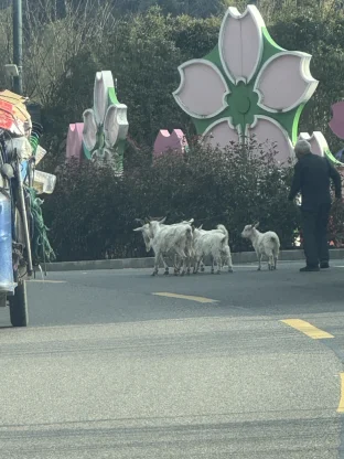pic