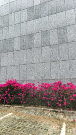 pic