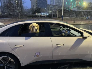 pic