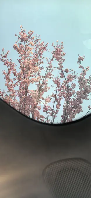 pic