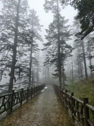 pic