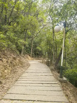 pic