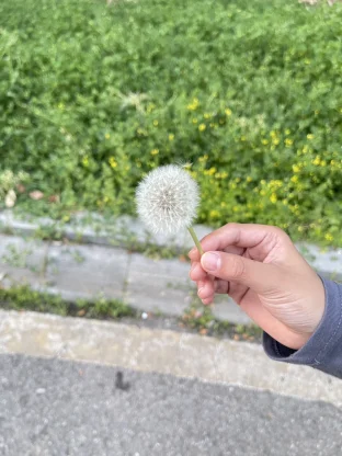 pic