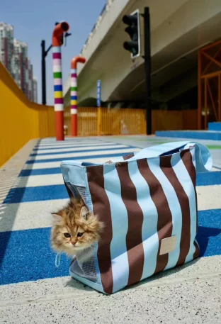 pic