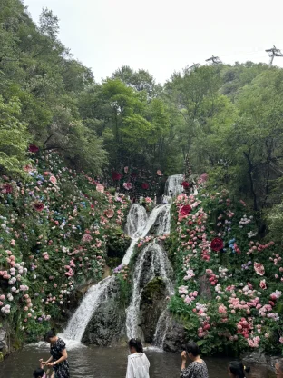 pic