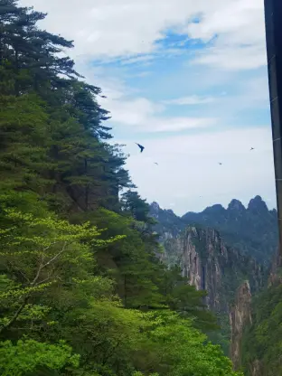 pic