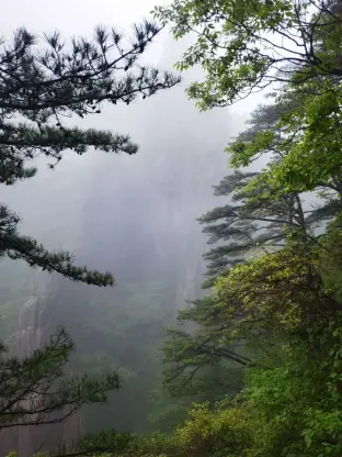 pic