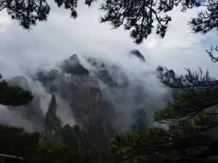 pic