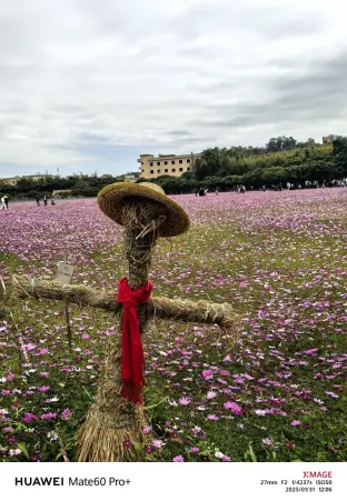 pic