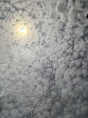 pic