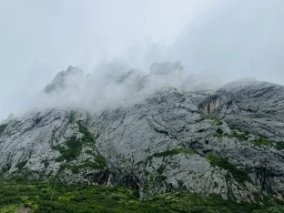 pic