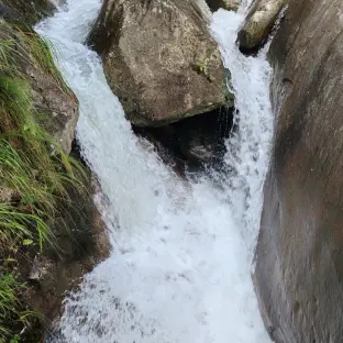 pic