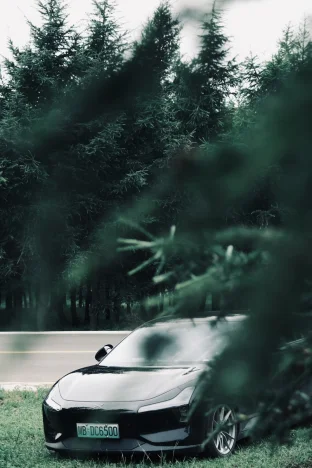pic
