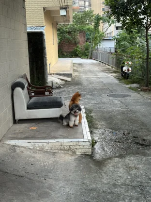 pic
