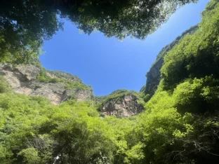 pic