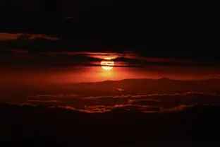 pic