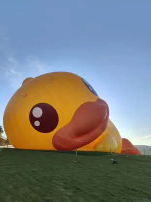 pic