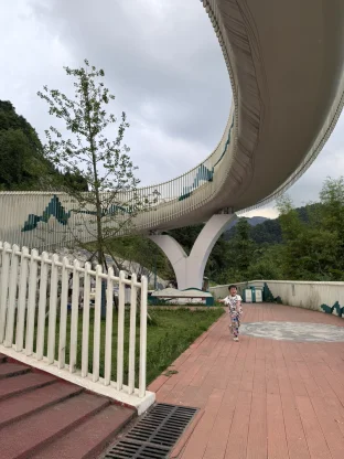 pic