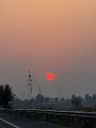 pic
