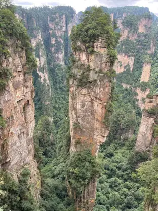 pic