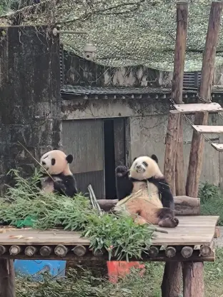 pic