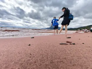 pic