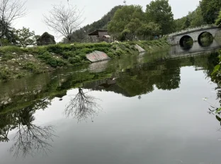 pic