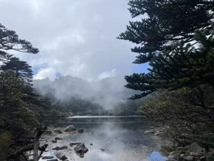 pic