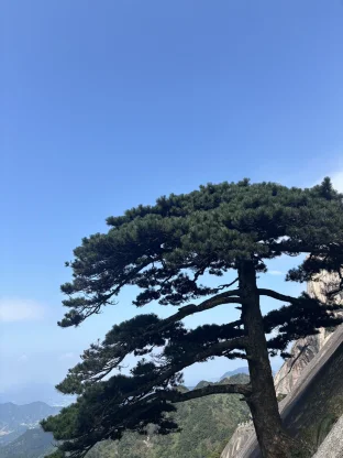 pic