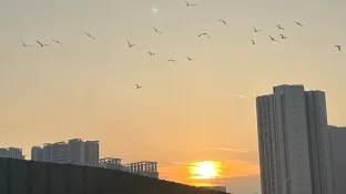 pic