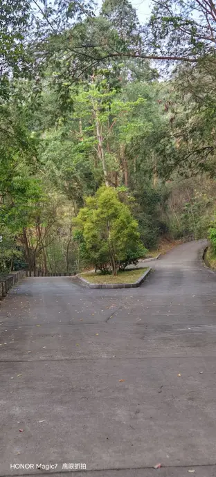 pic