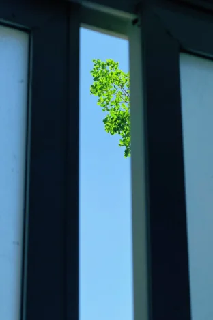 pic