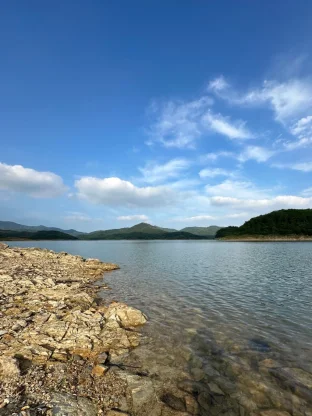 pic