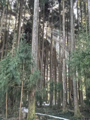 pic