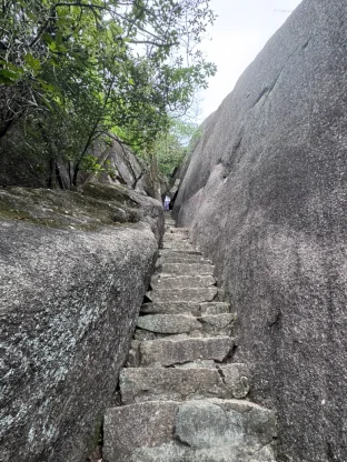 pic