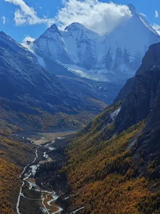 pic