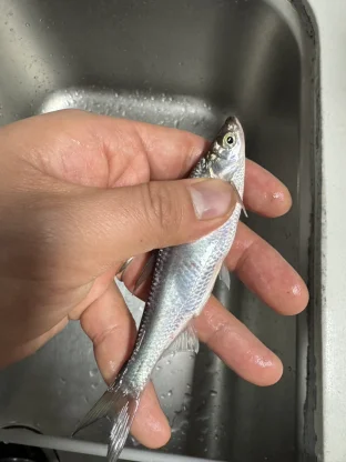 pic