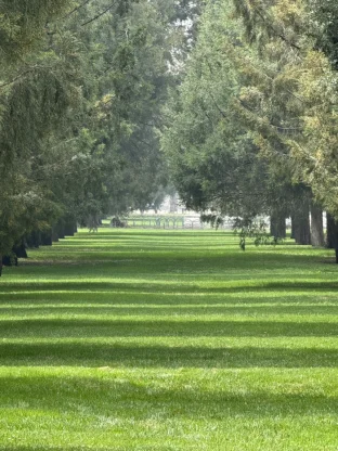pic