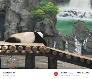pic