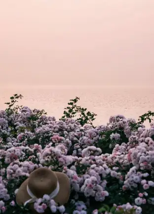 pic