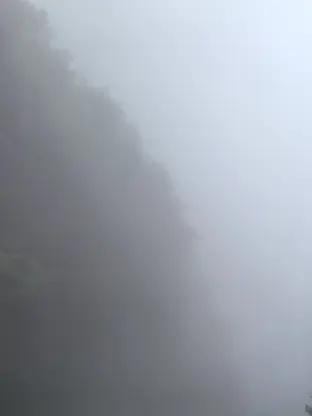 pic