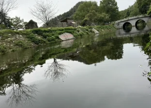 pic