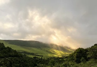 pic