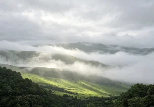 pic