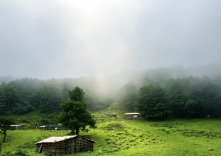 pic